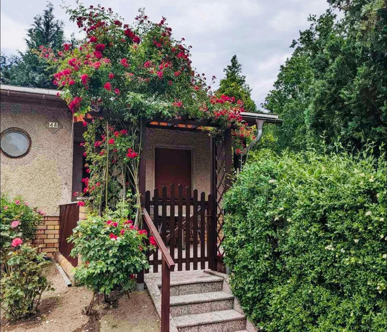 Gruener Bungalow Am Kiebitzsee Villa Falkenburg Esterno foto