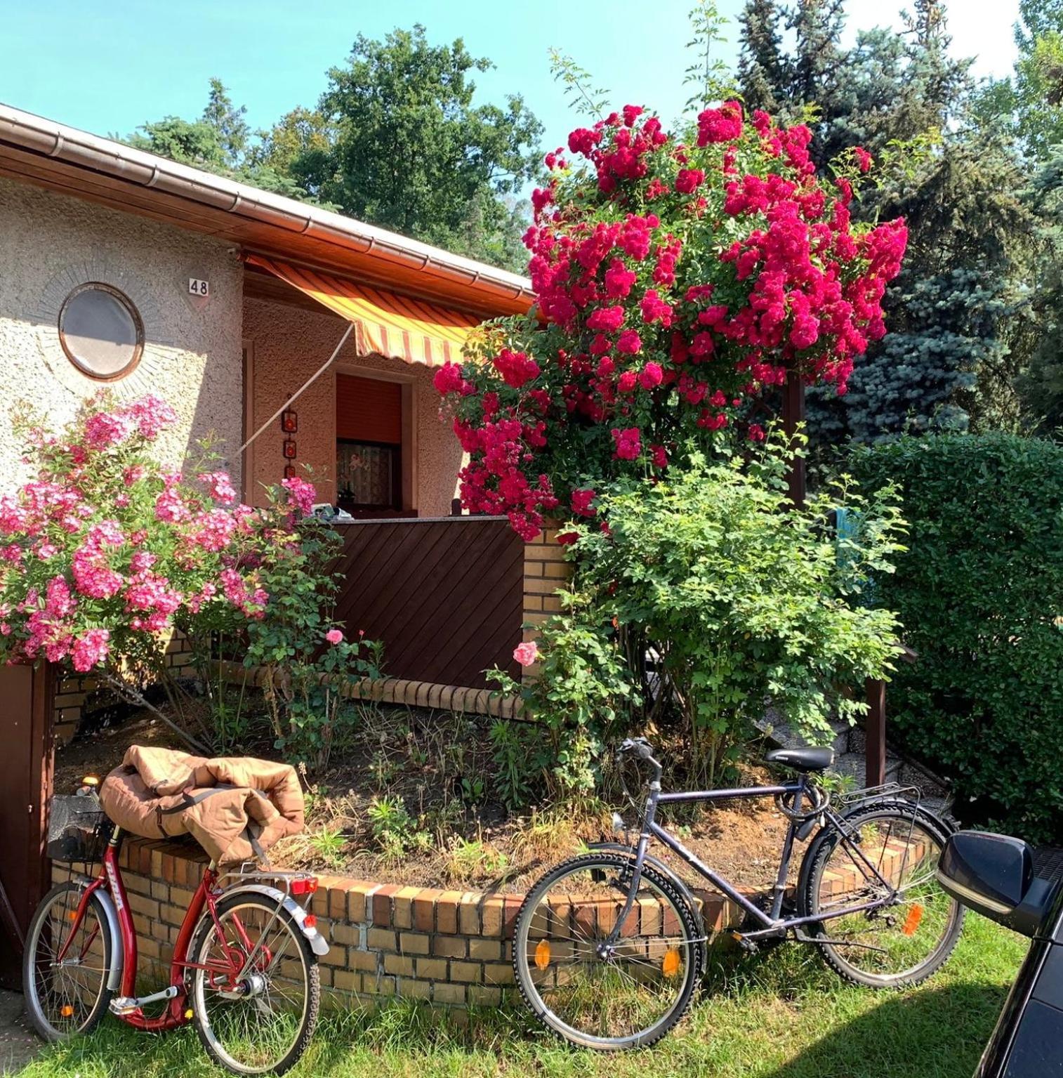 Gruener Bungalow Am Kiebitzsee Villa Falkenburg Esterno foto